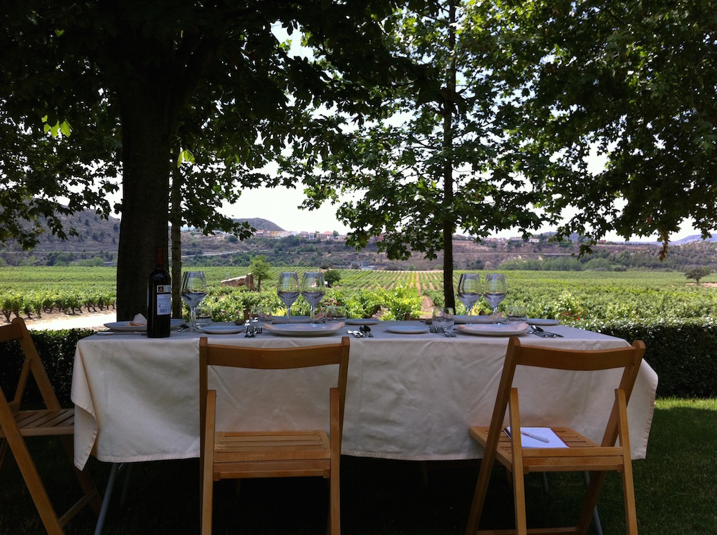 vineyard lunch
