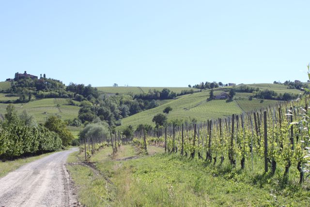 les caves de pyrene