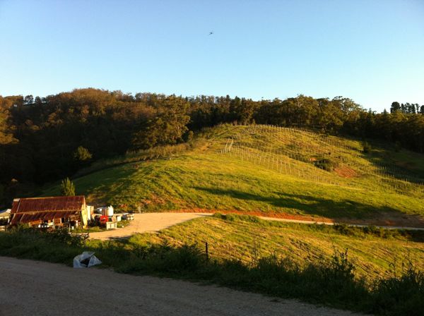 Anton's winery in the Basket Ranges of Adelaide Hills