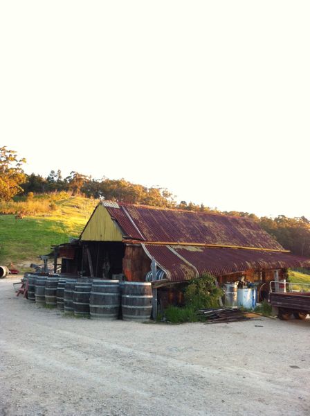 Anton's ramshackle winery