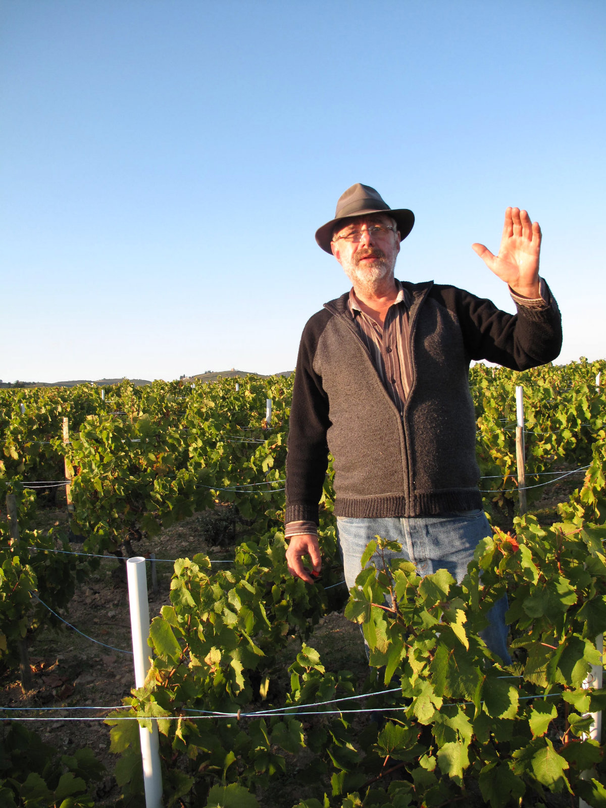 Marcel Lapierre amongst his Gamay vines