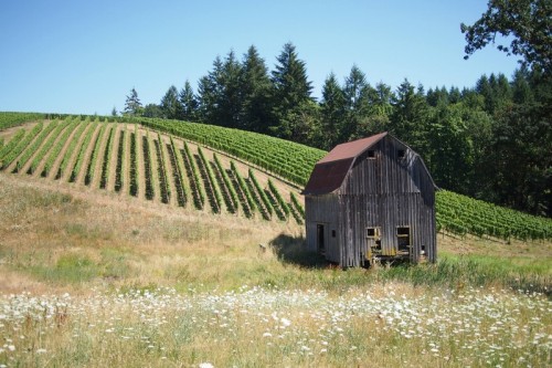 Oregon (photo by Wine Anorak)