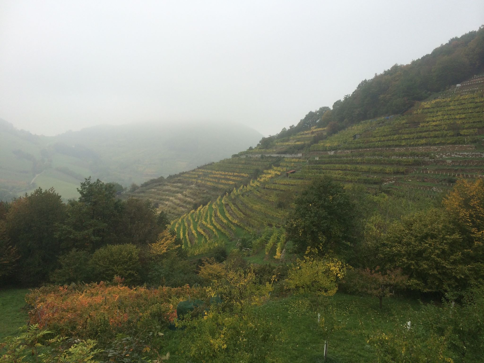 Peter Veyder-Malberg, Wachau 3