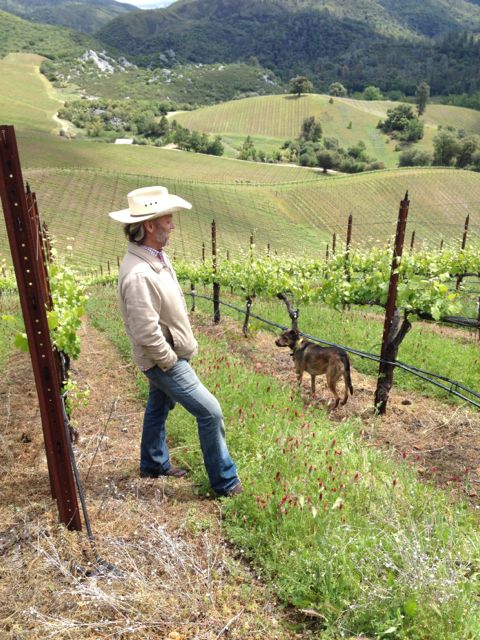 Matthew Rorick (Photo credit: https://www.forlornhopewines.com/)