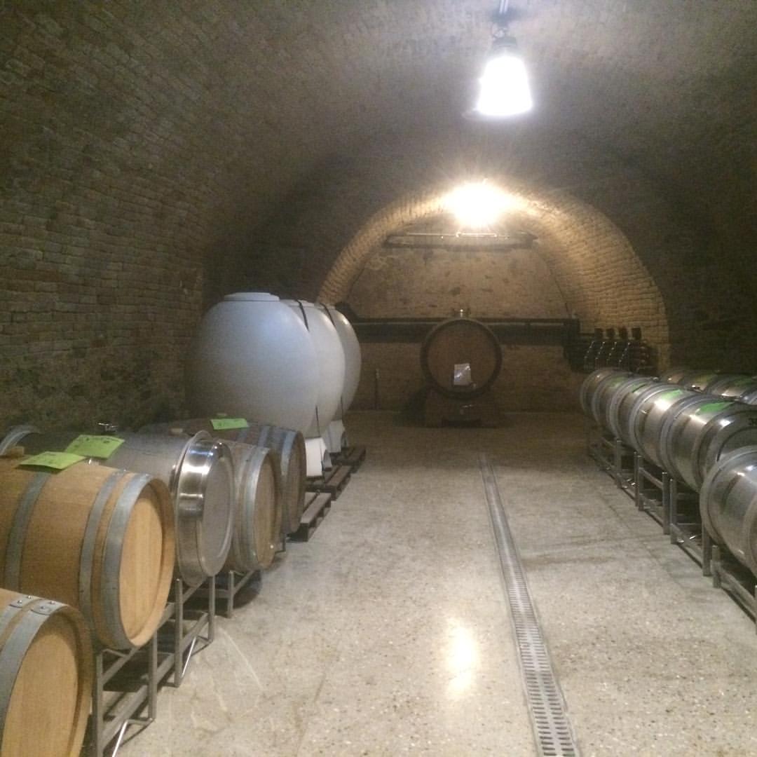 In Jurtschitsch's epic monastic cellar in Langenlois populated by monster oak barrels some graceful Magnum 675 litre eggs and stainless barrels.