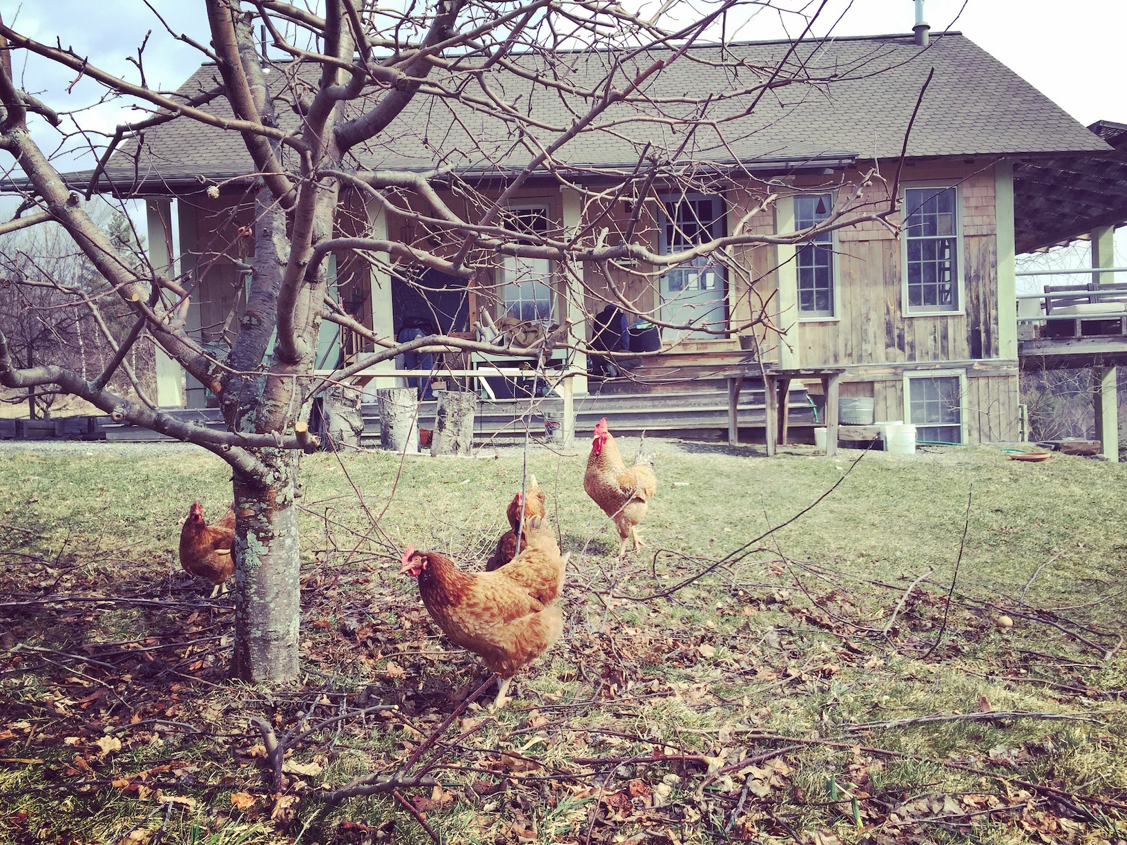 The La Garagista homestead, which was completely renovated and rebuilt by Caleb