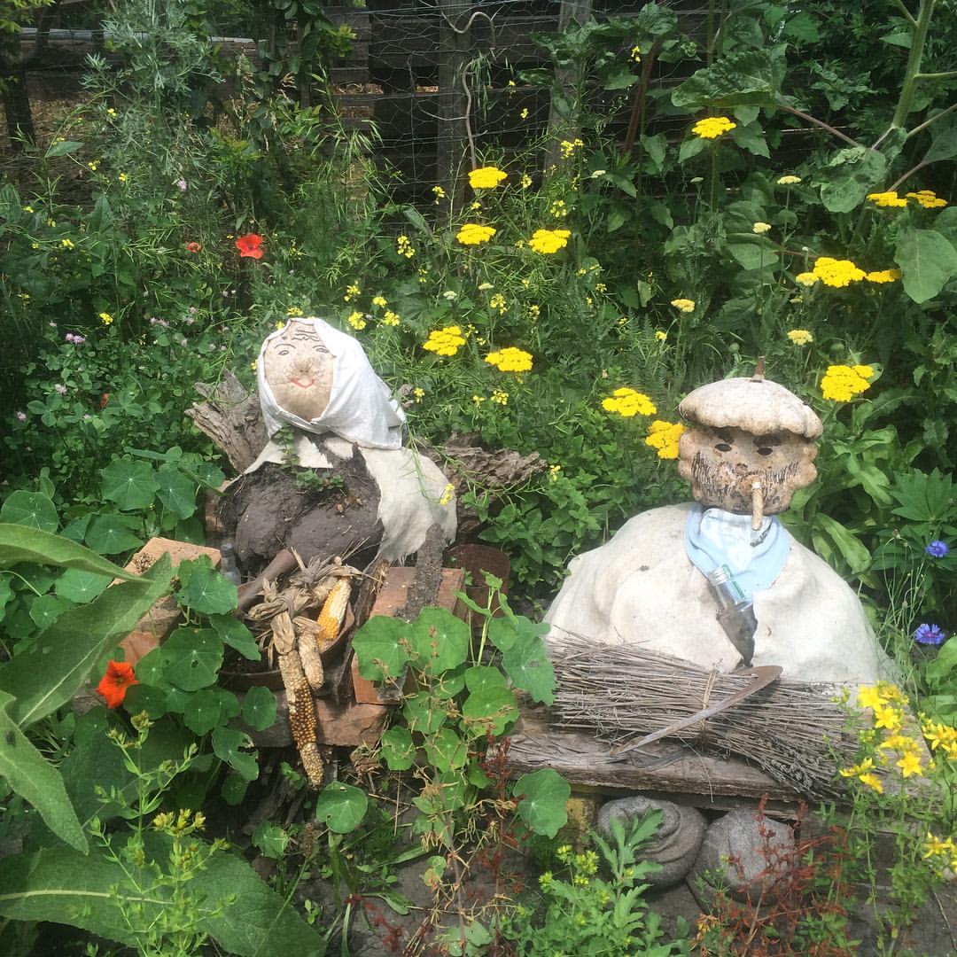 Not so surprising to stumble across folks like these in Andert's wild garden.